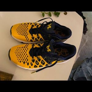 Michigan Nike Team shoes